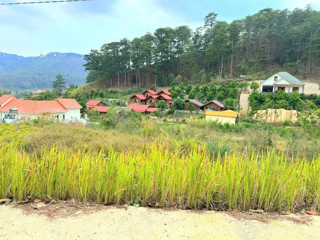 Bán đất view đồi thông gần khu nghỉ dưỡng ngay chân đèo Pren, đi trung tâm Đà Lạt 15p