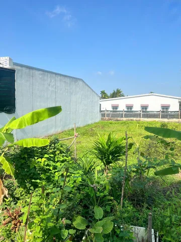 Đất nền ODT chính chủ 5x34 thuộc P.Trung An gần đường D7 mặt tiền đường 4 mét . Giá 820 triệu/nền bao trọn phí thuế.