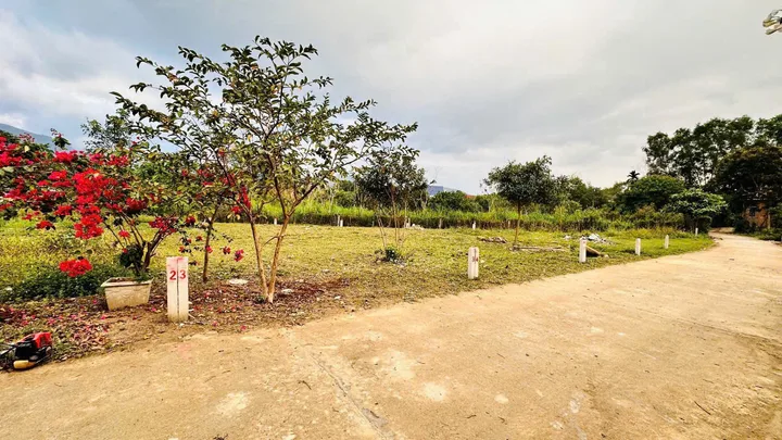 Bán lô đất Diên Lâm Diên Khánh, khu dân cư hiện hữu, 92m2 giá chỉ 330tr nhận ngay