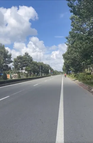 Bán 784m2 đất cây lâu năm cách mặt tiền đường Huỳnh Tấn Phát 200m