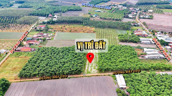 🏡 Bán đất vườn có thổ cư – Đường ô tô vào tận nơi
📐 Diện tích: 1.300m², trong đó có 300m² thổ cư.