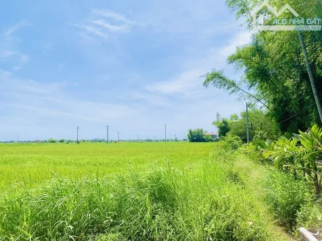 Điện Phương gần View Lúa - Sau Ốc Hạnh - 10p Xuống Hội An - 126m2 - Mt 5m - Oto Tận Nơi - 8xx ( Rẻ )