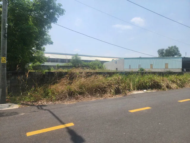 Cần bán đất cạnh chợ Chánh Lưu