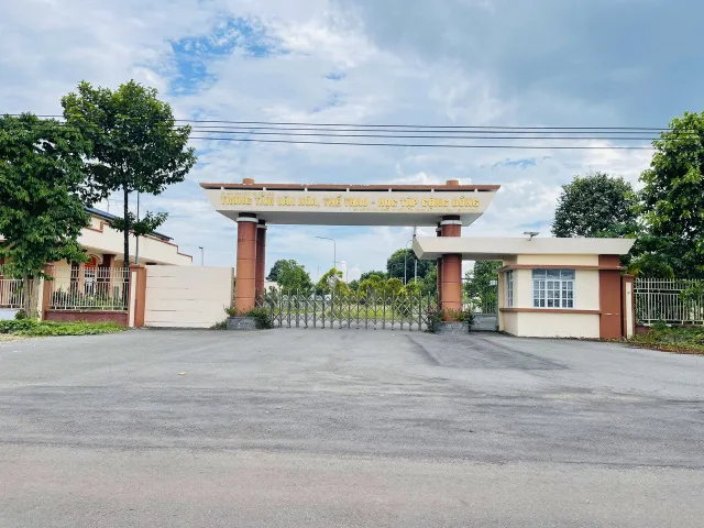 🌳🔥 VƯỜN CAO SU HƠN 3,2HA – NGANG 203M – DÒNG TIỀN 20 TRIỆU/THÁNG – CHỈ 16,5 TỶ 🔥🌳