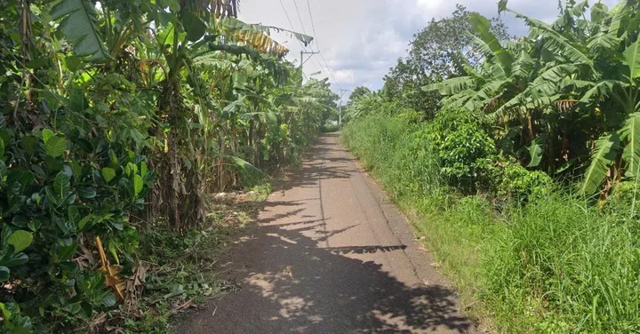 Bán đất tại Xuân Lập - Bàu Sen, 11,2 tỷ, 1593 m2, giá siêu hời