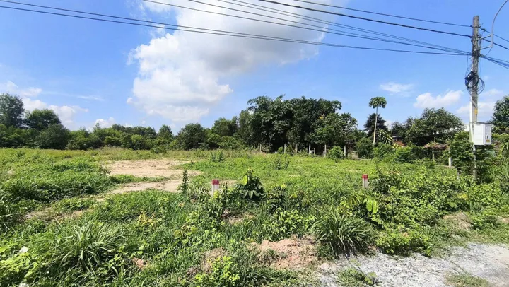 🌳 ĐẤT VƯỜN SIÊU VIP - GIÁ SIÊU RẺ TẠI THÁI MỸ, CỦ CHI 🌳800m2 có 50m thổ gia 1ty x nhở
