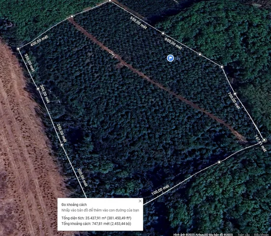 ĐẤT CAM XOÀN ĐANG THU HOẠCH 11.5ty/3.5ha