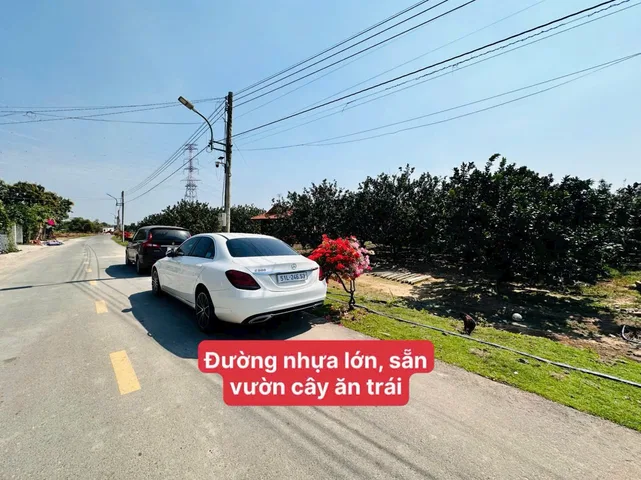 Đất xào sẵn vườn bưởi thành phố hồ chí minh