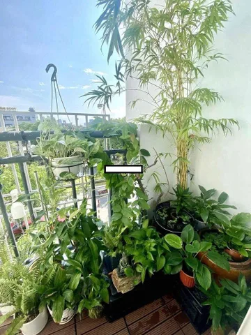 Bán căn hộ Nest Home 📌📌📌LÀM VIỆC TRỰC TIẾP GIÁ TỐT !!!