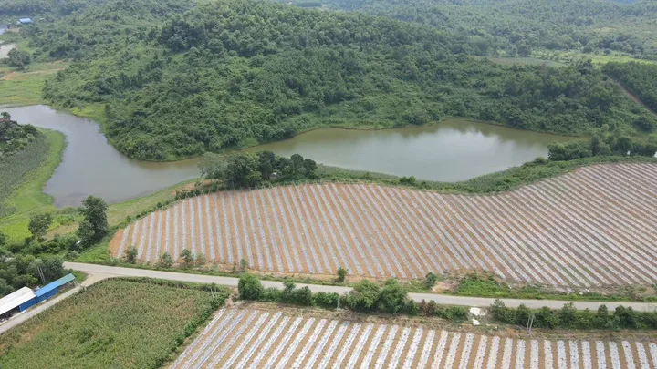 Nghe đồn lương sơn về Hà Nội, giá tốt nhất thị trường hơn 3tr/m - các bác nhanh tay ạ