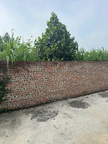 🏡 Chưa tới 2 tỷ có ngay lô đất 400m² (có 100m² đất ở) dân cắt bán