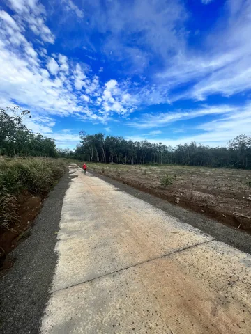Chính chủ bán 3 ha cao su thôn 3 Long Tân
