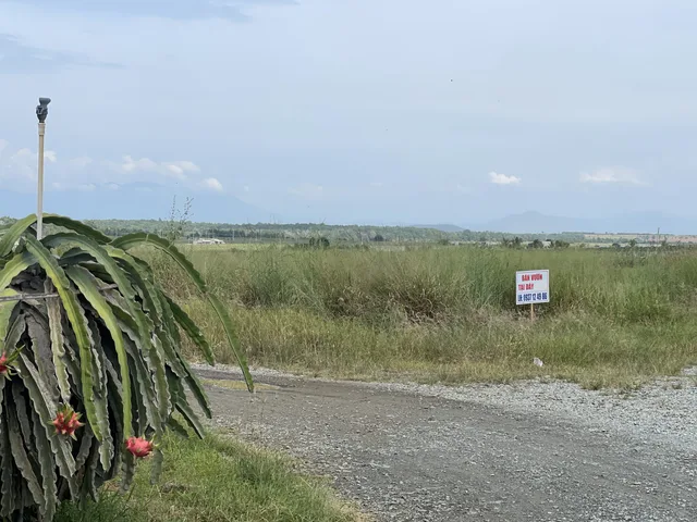 1,9ha Đất cây lâu năm trên đồi view cao, đã có điện, nước ngầm khoan là có.