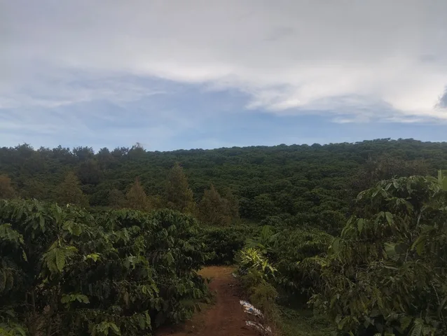 Bán Gấp 8 xào 9 giá 5ty5 thương lượng. Đất tại thôn 5 hoà ninh cũ