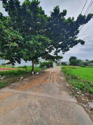 Bán đất thổ cư trung tâm Phan Thiết