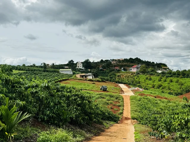 Đất ở xã Nam Hà chỉ 900m ra đường nhựa. Giá 390 triệu