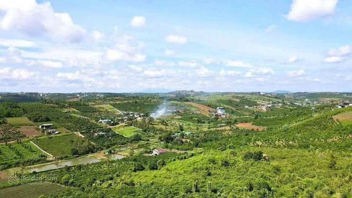 Quỹ đất lớn hiếm còn sót lại tại Tân Văn, Lâm Hà – 8.438,7m² có 2.950m² đất ở