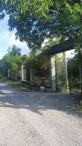 BÁN ĐẤT TẶNG NHÀ MẶT TIỀN KÊNH T11 BÌNH LỢI BÌNH CHÁNH DIỆN TÍCH 5046M2 GIÁ NHỈNH 16 TỶ