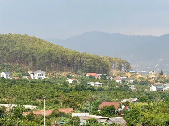 3,9ha đất đẹp tại Tân Văn, Lâm Hà – Quỹ đất lớn, giá trị bền vững dành cho nhà đầu tư đón đầu