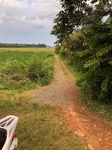 Bán 4.000m2 đất gần cầu K13, view Núi Bà Đen, đất lúa, giá 2.2tỷ