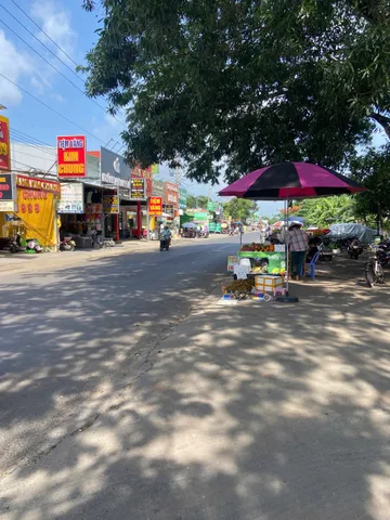 CHÍNH CHỦ KẸT TIỀN CẦN BÁN GẤP LÔ ĐẤT GIÁ RẺ