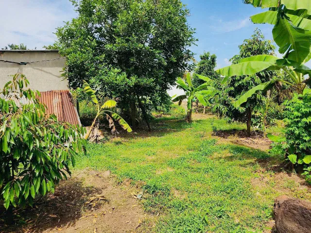 Chỉ 20 tỷ sở hữu ngay lô đất 2487,7m2 có thổ cư tại Minh Thạnh - Hồ Chí Minh