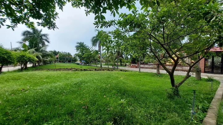 🚛CHO THUÊ 5000M2 ĐẤT P.12 - CHO THUÊ DIỆN TÍCH LINH HOẠT CHỈ 30K/M2! 🚛
