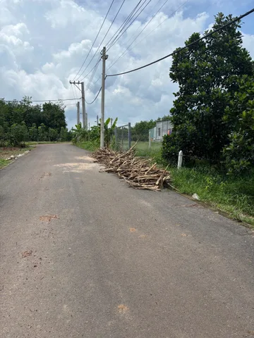 Chủ còn 1 lô duy nhất vườn mít thái 5 năm đang thu hoạch xã Phước Thành Hồ Chí Minh 
Giá 690tr bao sổ