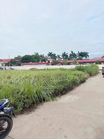 QUỸ ĐẤT ĐẤU GIÁ GIÁ RẺ THANH THỦY - ĐỒNG VƯỜN ĐỒNG TRUNG - FULL THỔ CƯ
