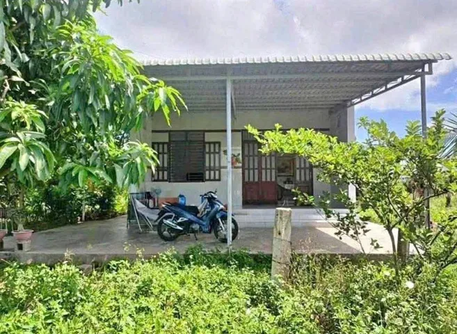 CHỈ 575 TRIỆU – NHÀ VƯỜN CHƠN THÀNH 1.000M², SẴN 15 GỐC SẦU RIÊNG ĐANG PHÁT TRIỂN - SHR