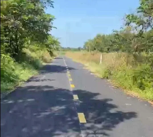Bán đất vườn đường nhựa thông xe tải 1/ngắn Nguyễn Thị Rành xã An Nhơn Tây Củ Chi TPHCM, DT: 17x55m.