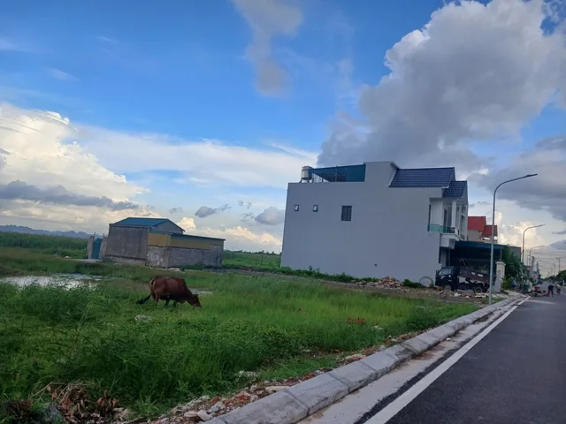 Bán đất khu 8 Phường Hà An ven dự án Hạ Long xanh.