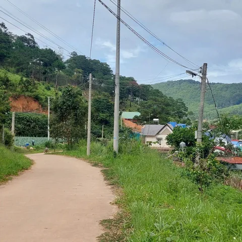 Lô đất 408m khu làng Đại Dương - Hiệp an- Đức Trọng- Lâm Đồng 🌲 7 tỷ 3 có view rừng thông gần trạm thu phí