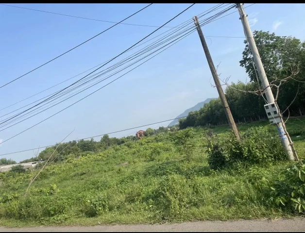 Xã Châu Pha Tx Phú Mỹ. S: 10.201 m2 có 300tc