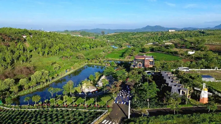 Đất View Hồ Bảo Lộc - Sổ Riêng - Chỉ Từ 250Tr