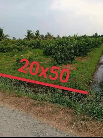 1000m2 đất vườn được lên thổ cư khu dân cư đông