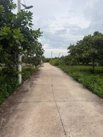Bán 1500 m2 thôn đá mài, hàm tân