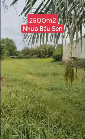 Bán Đất 2500m2 có sẵn 380 m2 thổ cư giá 5.5 tỷ tại Xã Đức Lập Hạ Huyện Đức Hòa Long An