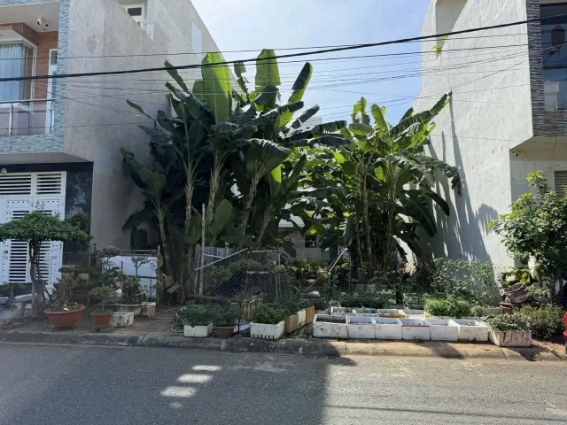 Chủ bán đất mặt tiền đường Nguyễn Siêu, Phước Nguyên, Bà Rịa, TPHCM, vị trí đẹp trung tâm
