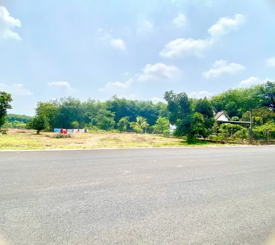 NỢ NGÂN HÀNG BÁN 250M2 ĐẤT THỔ CƯ NGAY QL SÁT BÊN CHỢ, TRƯỜNG HỌC DÂN ĐÔNG. GIÁ 545TR
