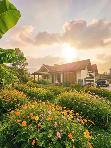 BÁN HOMESTAY CỰC ĐẸP CỰC CHILL Ở HOÀ LẠC