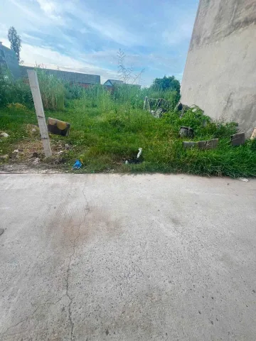 Bán Đất 300m2 có sẵn 100 m2 thổ cư giá 6 tỷ tại - Chọn - Phường 6 Thành phố Cao Lãnh Đồng Tháp