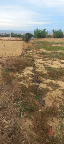 Bán Đất 369m2 giá 168 triệu tại Xã An Vĩnh Huyện Lý Sơn Quảng Ngãi