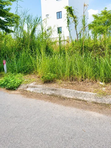 Bán Đất 85m2 - 5M*17M - giá 3.7 tỷ - tại 409 Nguyễn Văn Tạo Xã Long Thới, Huyện Nhà Bè TP. Hồ Chí Minh