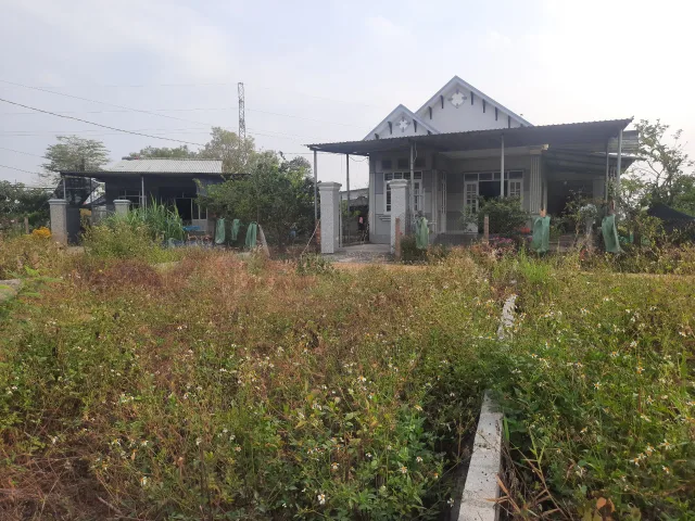 Bán Đất 71m2 có sẵn 71 m2 thổ cư giá 980 triệu tại Xã Diên Hòa Huyện Diên Khánh Khánh Hòa