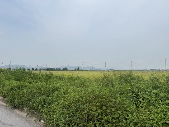 CHUYỂN NHƯỢNG 16.000m² ĐẤT KHU CN QUẾ VÕ 3, LÔ GÓC, BÀN GIAO NGAY.