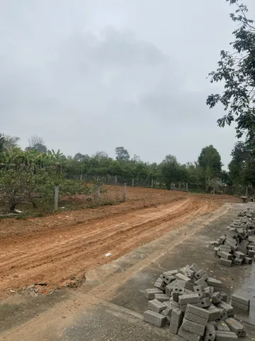 ĐẤT NỀN TRUNG TÂM TRIỆU SƠN - 230.8M² ĐƯỜNG RỘNG 8M - GIÁ ĐẦU TƯ CHỈ 1.920 TỶ