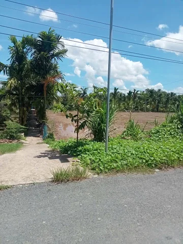 Bán Đất 1000m2 giá 2.29 tỷ tại Xã Tân Hưng Huyện Long Phú Sóc Trăng