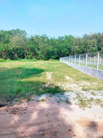 ĐẤT BÁN AN TỊNH, TRẢNG BÀNG – 200m², GIÁ 480 TRIỆU