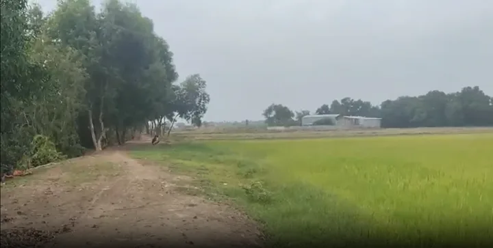 Bán Đất 10696m2 giá 26.74 tỷ tại Xã Xuân Thới Sơn Huyện Hóc Môn TP. Hồ Chí Minh